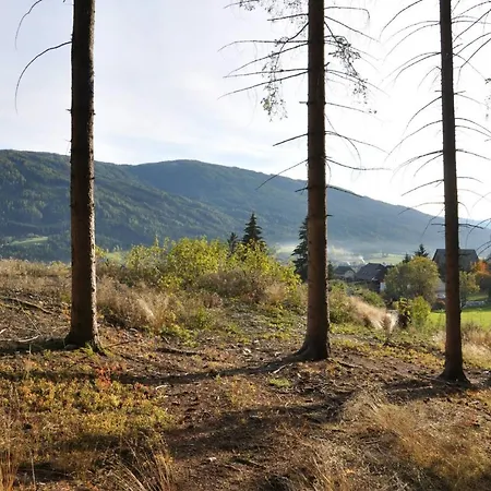 Feels Like * タムスヴェーク