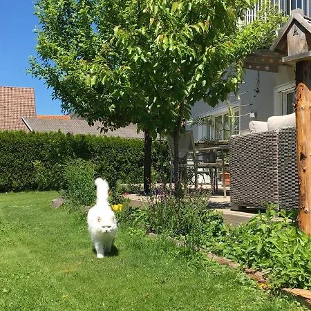 Feels Like Apartament *