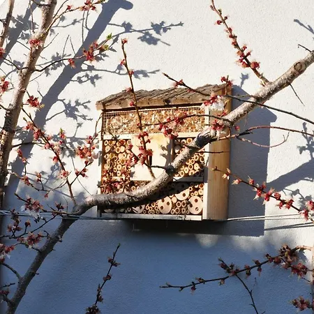 Feels Like タムスヴェーク