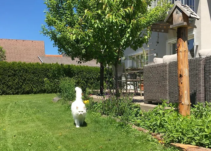 Feels Like アパート *