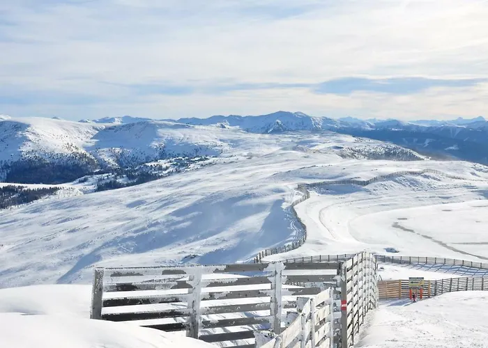 Feels Like タムスヴェーク